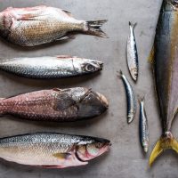 A Fair Seafood Seasonality Box